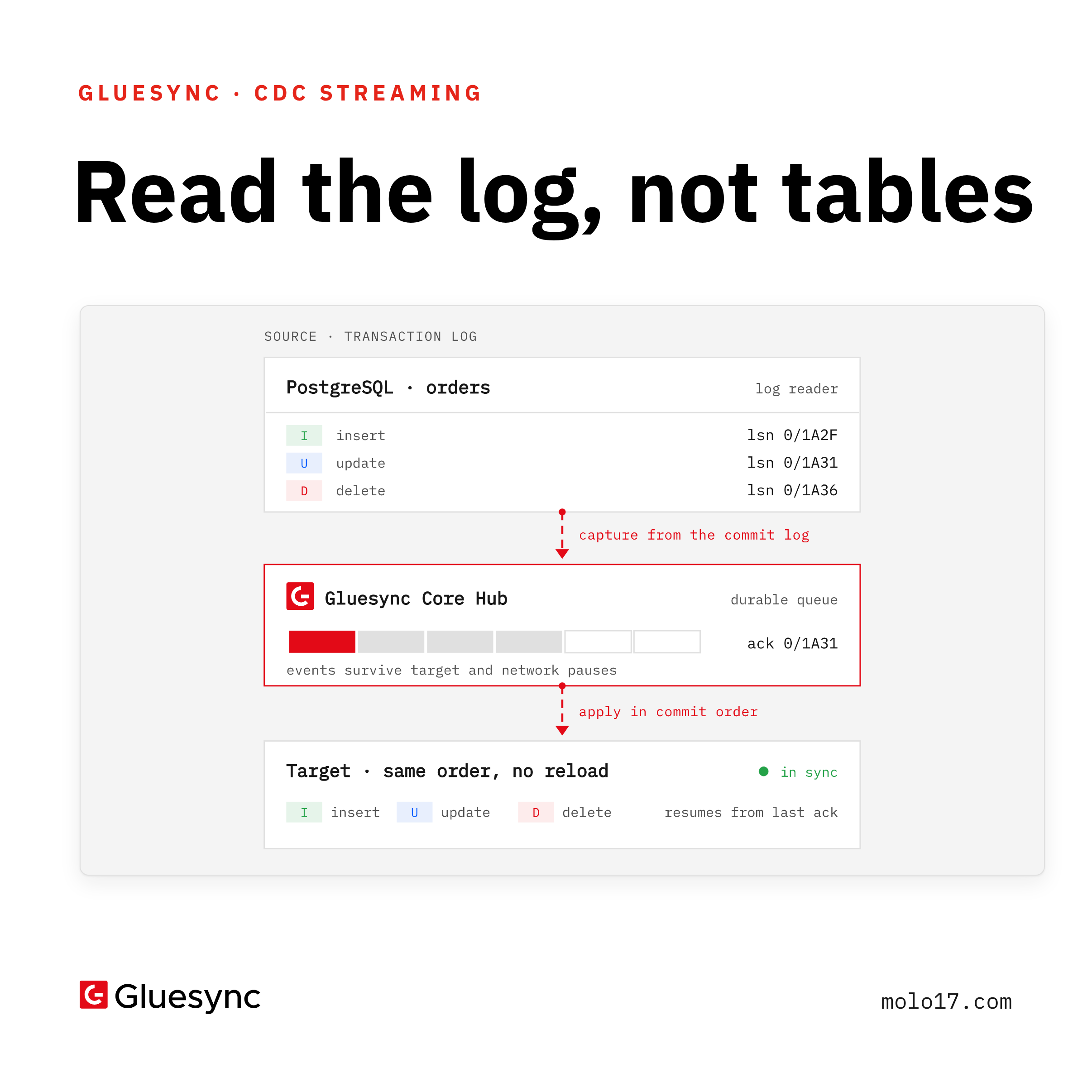 Gluesync social card